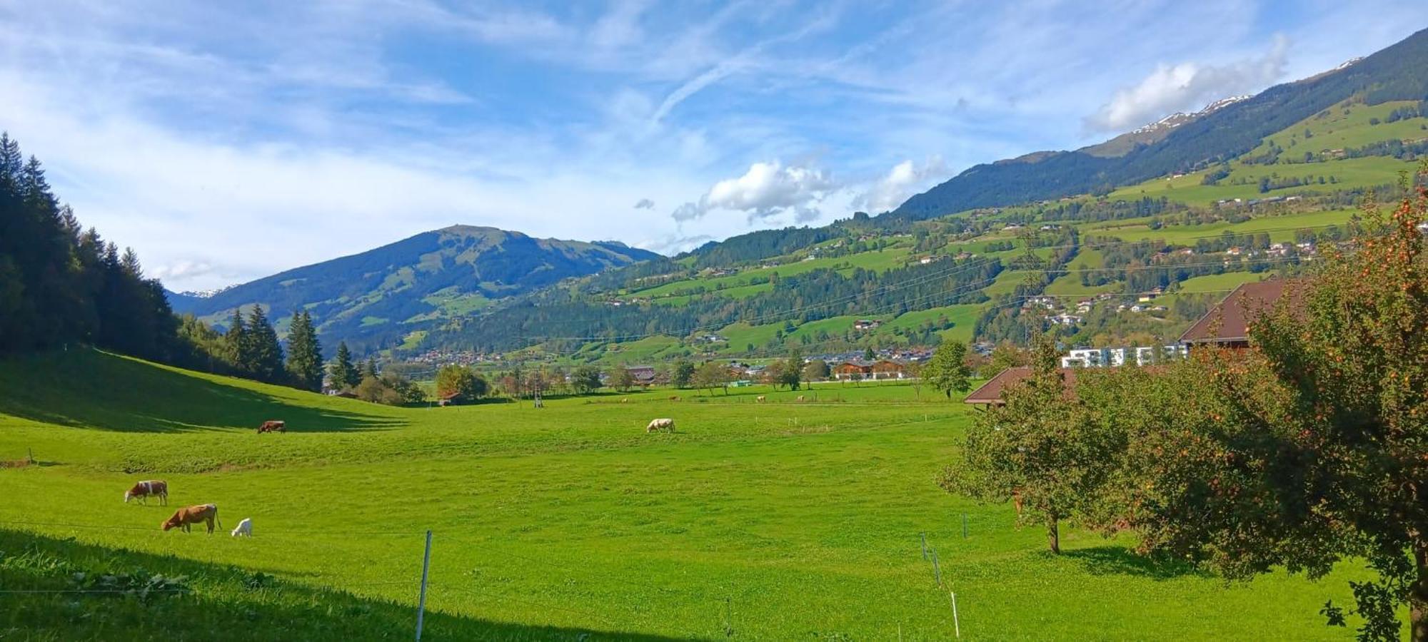 Apartment Sonnberg Mittersill Esterno foto